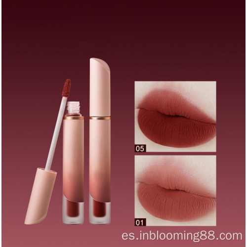 Maquillaje de lujo GLOSSY Matte Lip Gloss Etiqueta privada